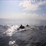 image10